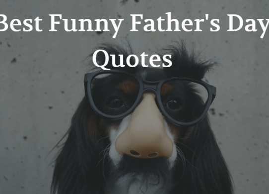 Best Funny Father's Day Quotes