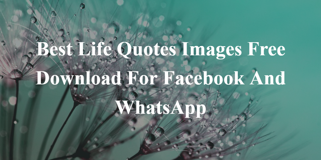 Best Life Quotes Images Free Download For Facebook And Whatsapp